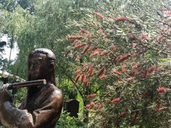 -合肥滨湖国家森林公园