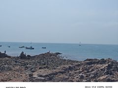 -小麦岛公园