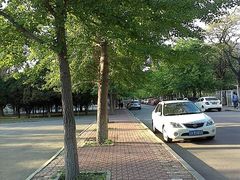 -辽宁大学(崇山校区)