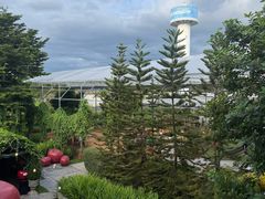 -Ohkajhu Organic Farm Sansai