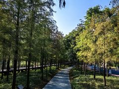 -广州市白云山风景名胜区