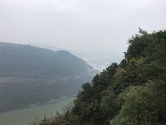 -铁山坪森林公园