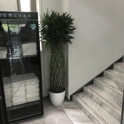 -悟空祛痘·诺奖技术专业店