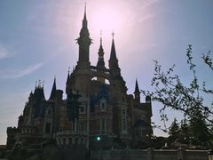 -迪士尼火鸡腿