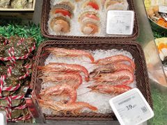 -超级物种·波龙工坊(国贸店)
