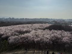 -明秦王墓遗址