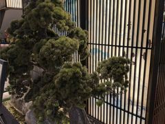 -聚鑫阁江浙菜·非遗传承技艺(闵行交大店)
