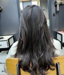 -藤野造型