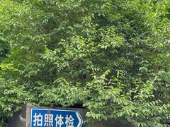 -上海市公安局交通警察总队车辆管理所三分所