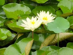 -宁波杭州湾国家湿地公园