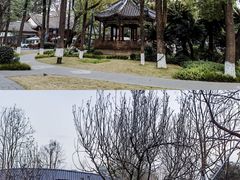 -成都市文化公园