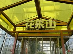 -南宫五洲植物乐园