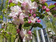 -元大都城垣遗址公园