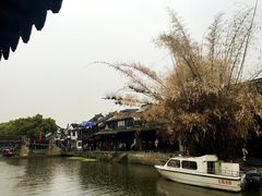 -老品芳