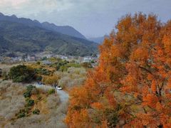 -鸡枕山