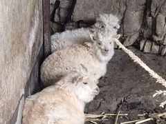 -野三坡清泉山风景区