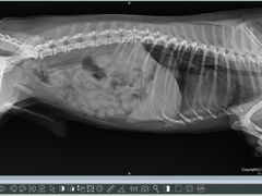 -狗舍宠物医院(四季商业广场店)