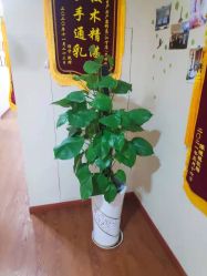 -Dr.林醫生产后修复·超级店(南京江宁同曦店)