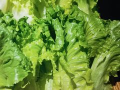 比利时生菜-澜棠海鲜(余姚阳明古镇店)