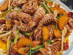 -辣盆盆麻辣小龙虾(哈尔滨总店)