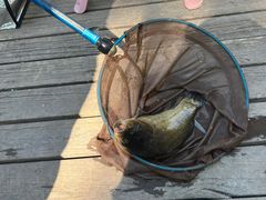 -酷鱼垂钓CLUB(朝阳区博大路店 )