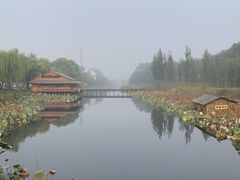 -白洋淀景区