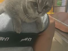 -瑞派福兴宠物医院犬猫全科·骨科·中西医结合(河东店)