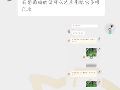 -青石桥花鸟鱼虫市场(叠翠城店)