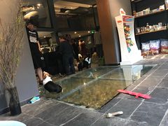 -百好乐宠物友好餐厅(朝外大街店)