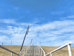 -佛手湖郊野公园