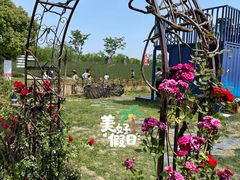 -同里国家湿地公园