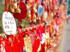 -西双版纳原始森林公园