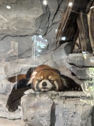 -Zoolung Zoolung动物主题公园(海信广场店)