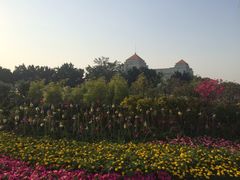 -花都广场