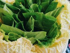 -探窝·竹笙椰子鸡(杨箕店)