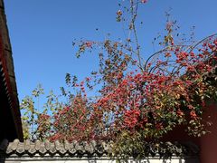 -承恩寺
