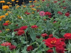 -长春公园(普阳街道)