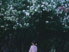 -蠡湖大桥公园