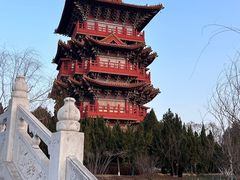 -清明上河园