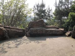 -铁山坪森林公园