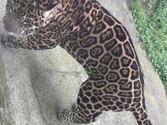 -杭州野生动物世界