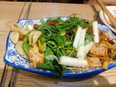 -汪记大众羊肉馆