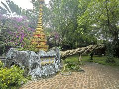 -莫里热带雨林景区