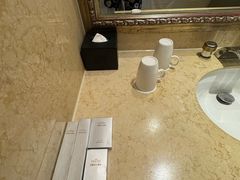 -圣雷克大酒店
