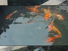 -西安市广仁寺