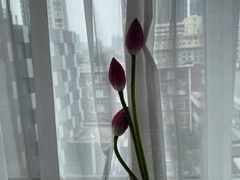 -桔子酒店(天津五大道店)