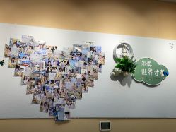 -北京爱育华医院-医疗美容科