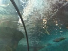 -洛阳龙门海洋馆