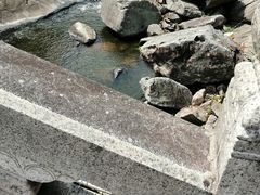 -九鲤湖风景区