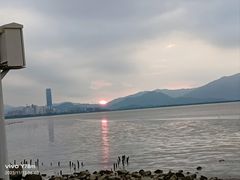 -深圳湾公园(南山区)